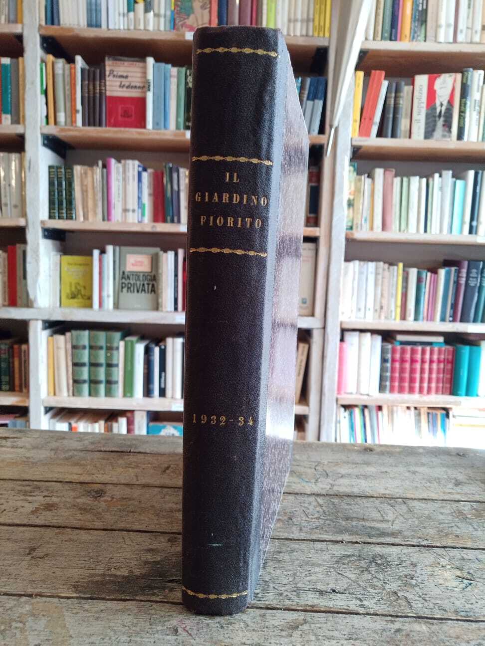 Il Giardino Fiorini (1932-34) - immagine 3