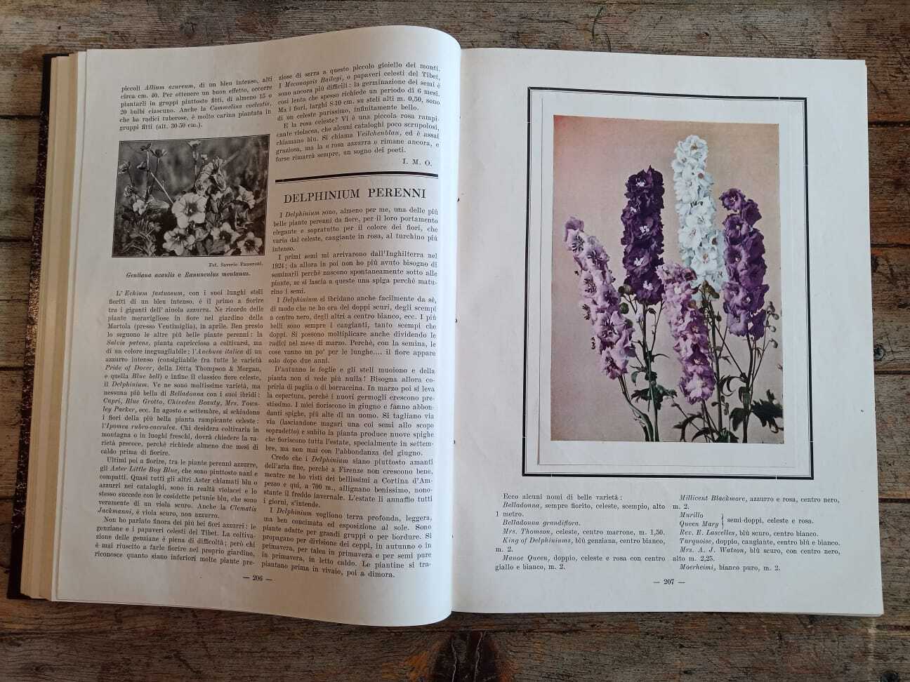 Il Giardino Fiorini (1932-34) - immagine 6