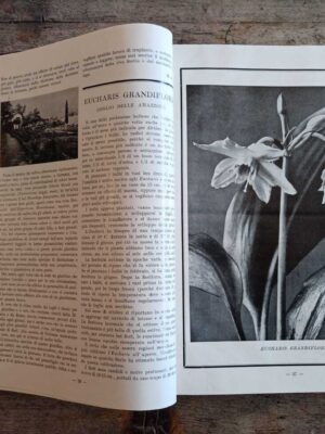 Il Giardino Fiorini (1935-38)