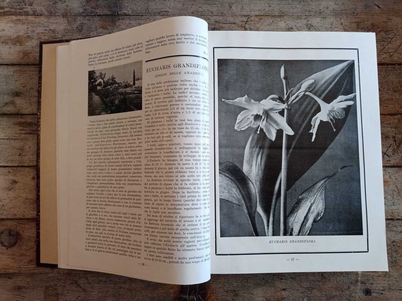 Il Giardino Fiorini (1935-38)