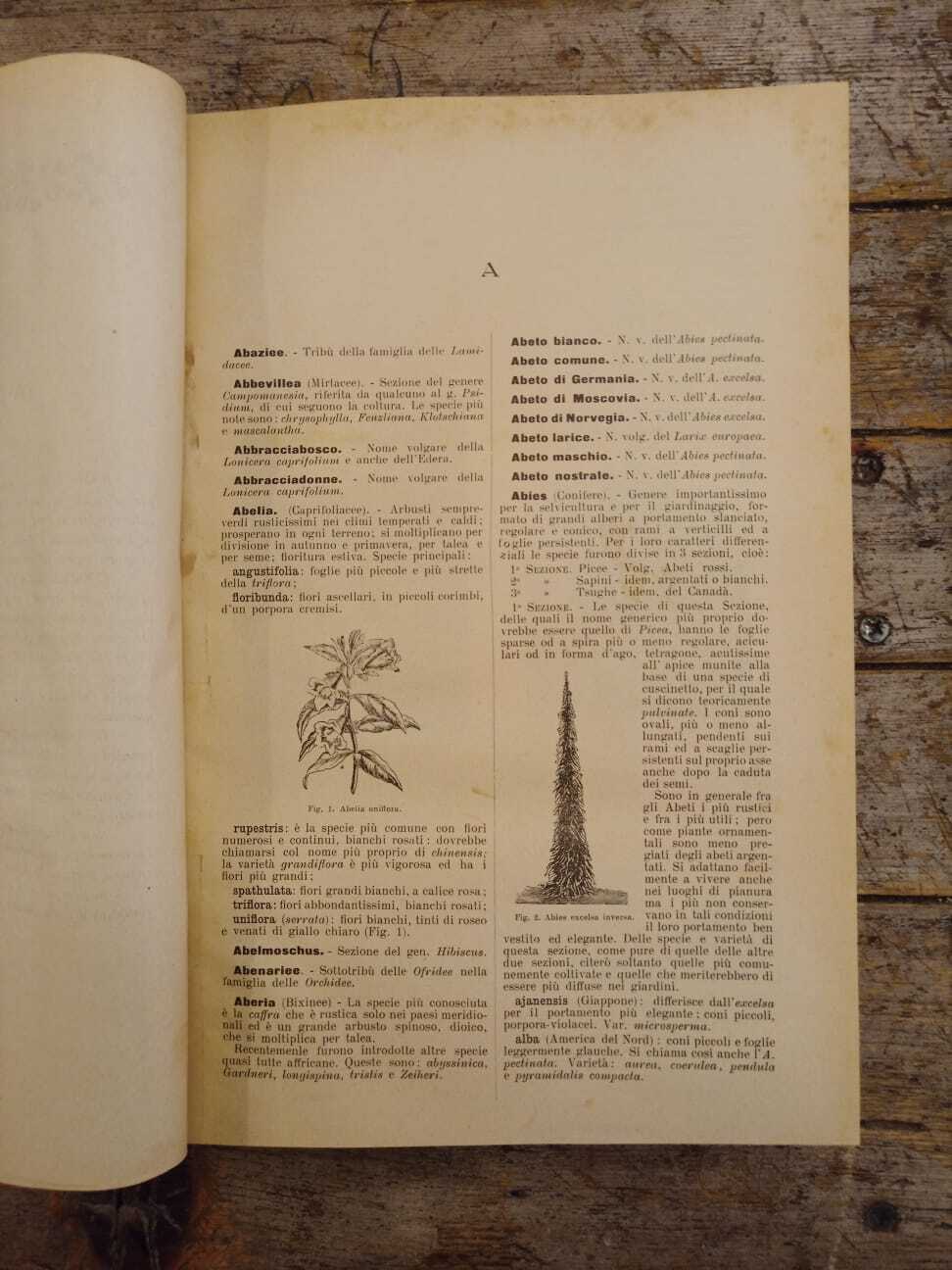 Dizionario generale di floricultura - immagine 6