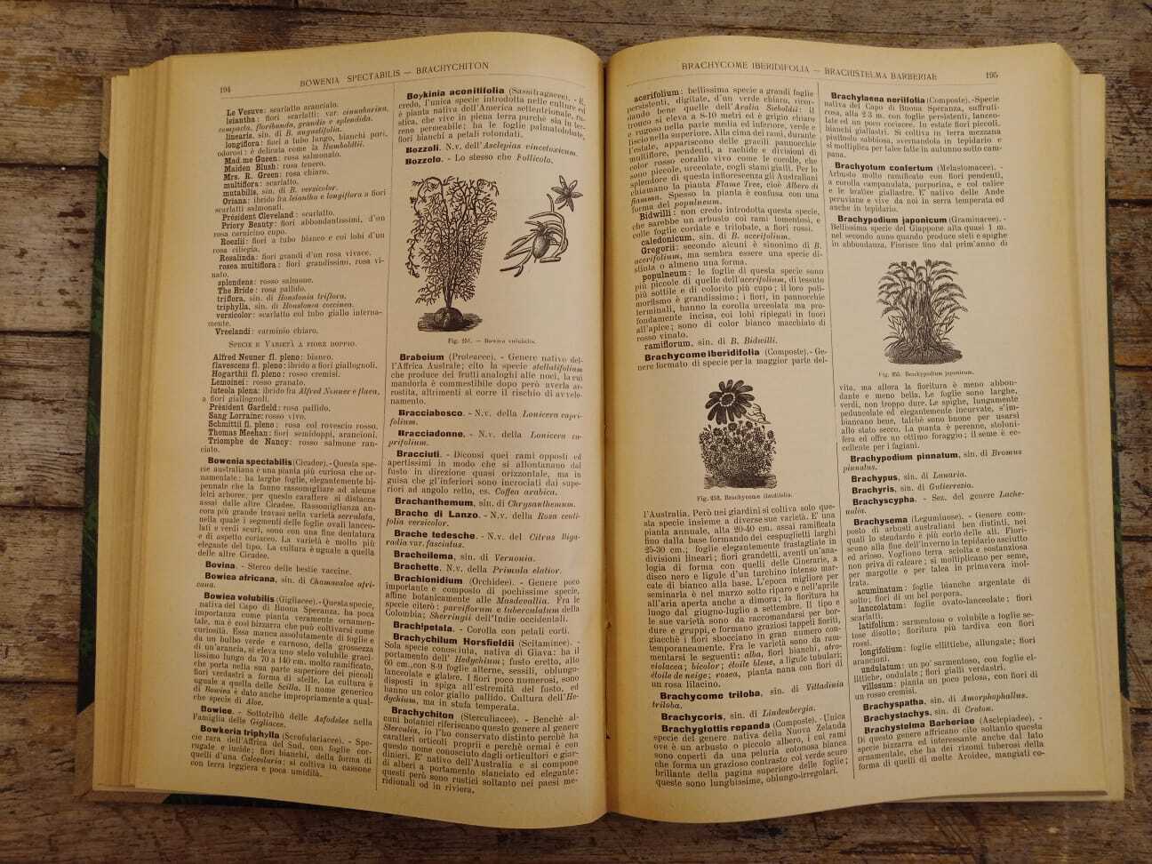 Dizionario generale di floricultura - immagine 7