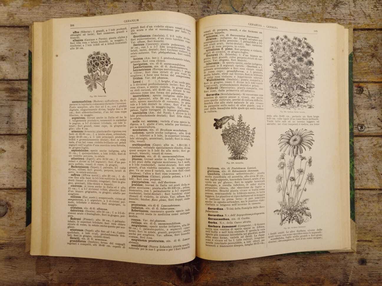 Dizionario generale di floricultura - immagine 8