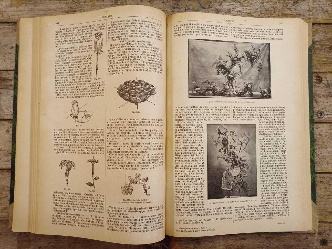 Dizionario generale di floricultura - immagine 9