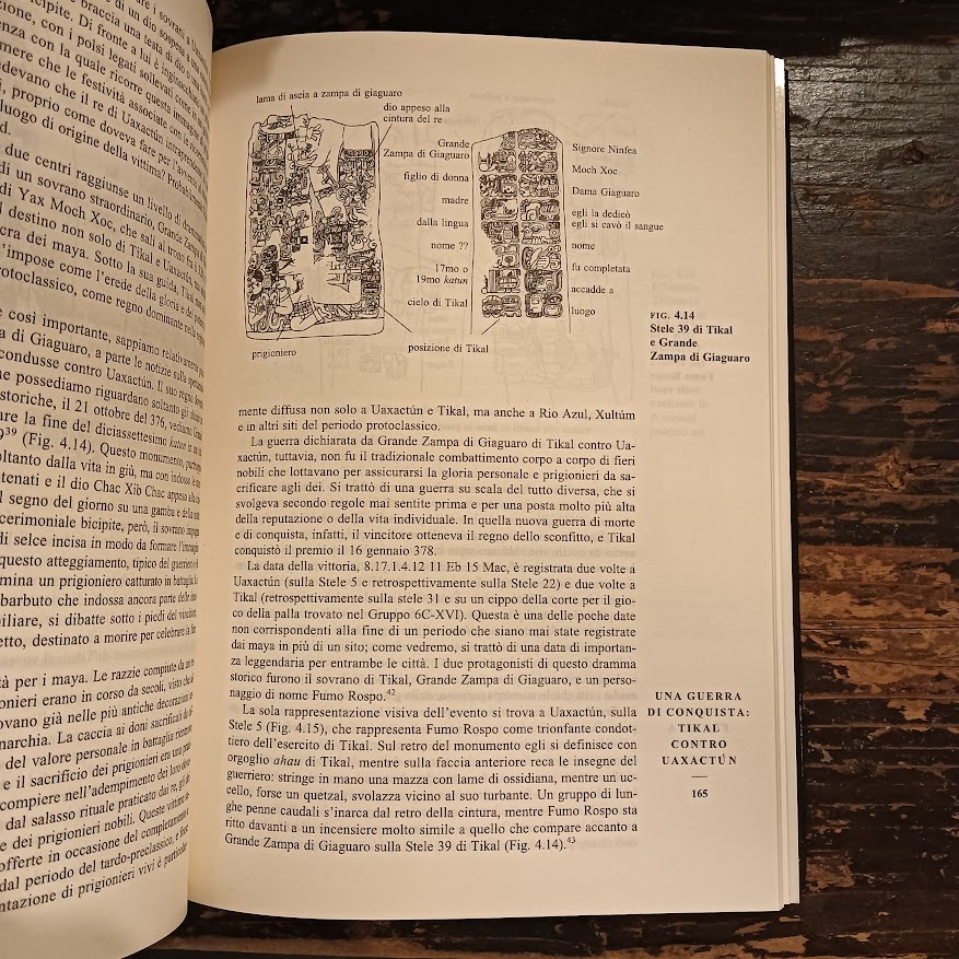 Una foresta di re:dai protagonisti della decodificazione dei codici maya per la prima volta la storia di una grande cività in tutti i suoi dettagli - immagine 3