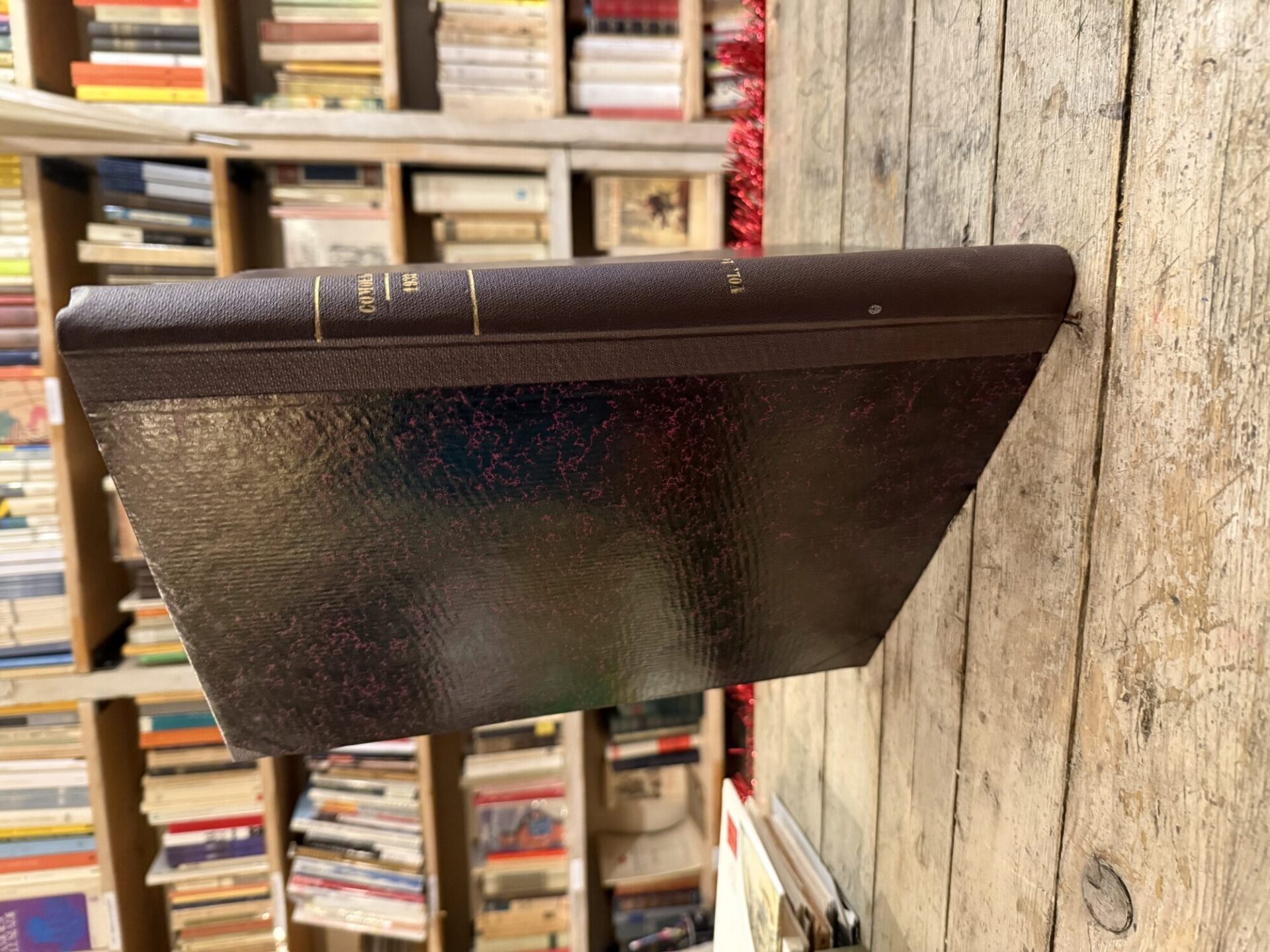 Comoedia vol.14 - immagine 2