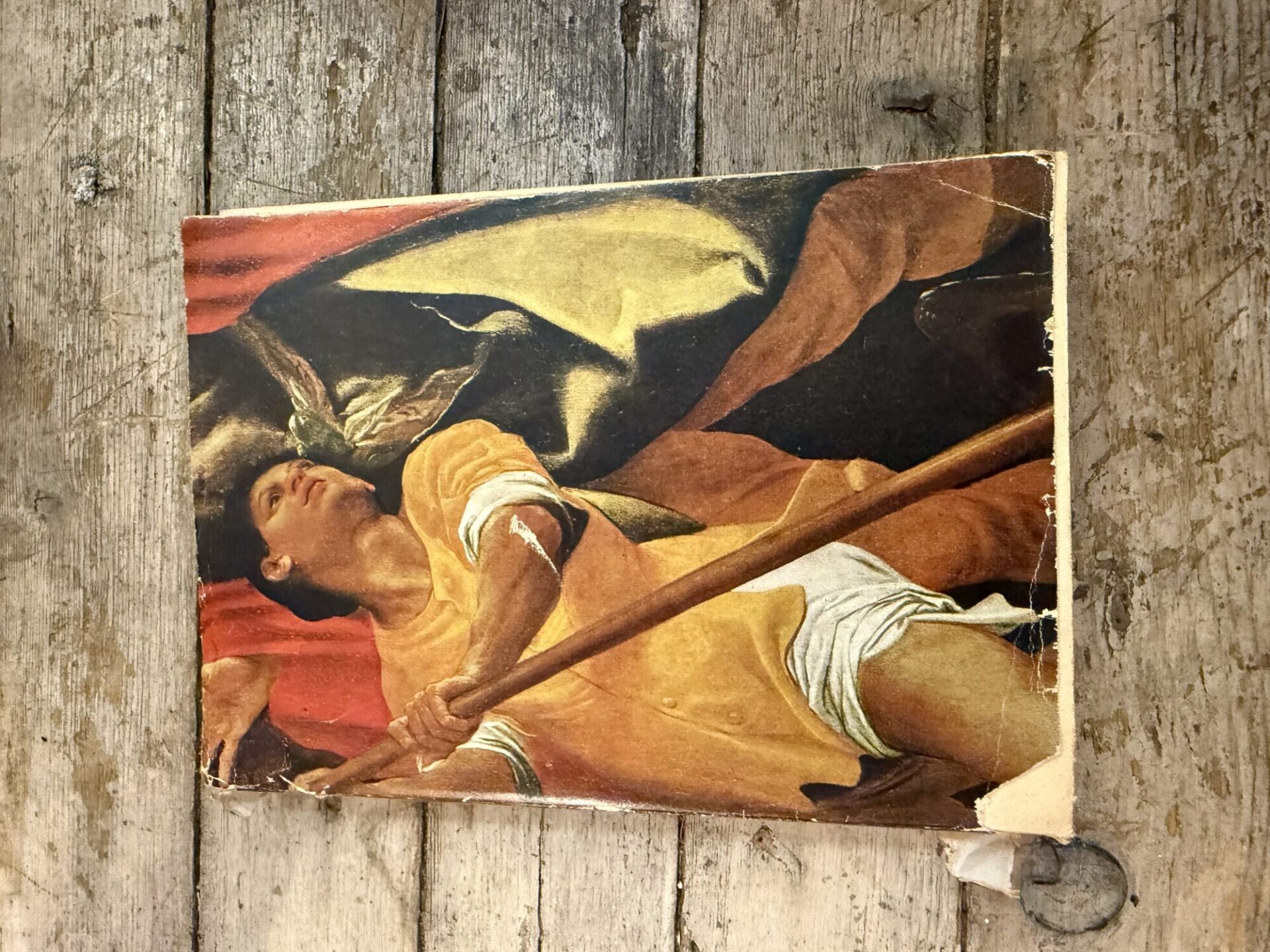 Mostra dei carracci