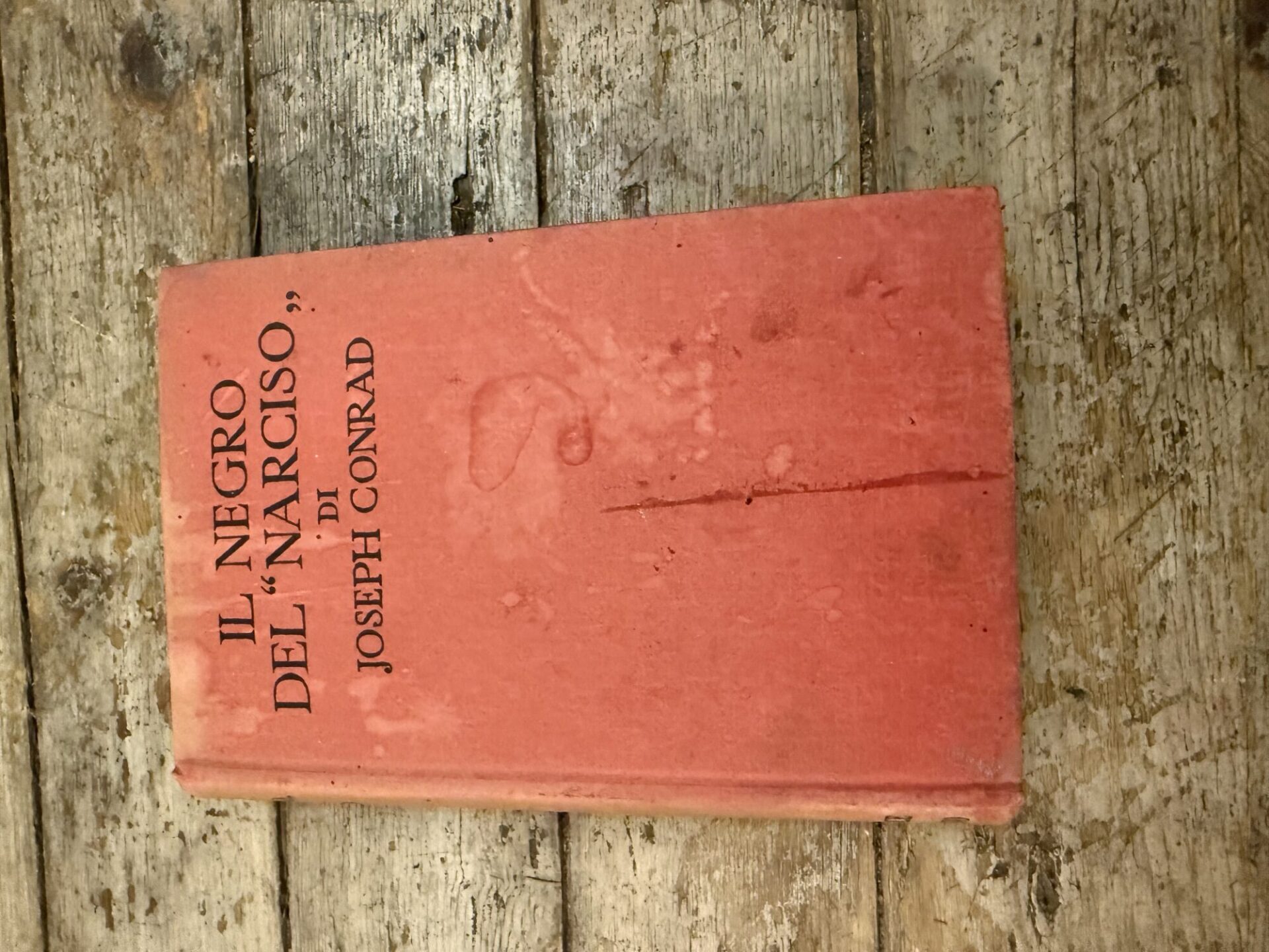 Il negro di ''Narciso''