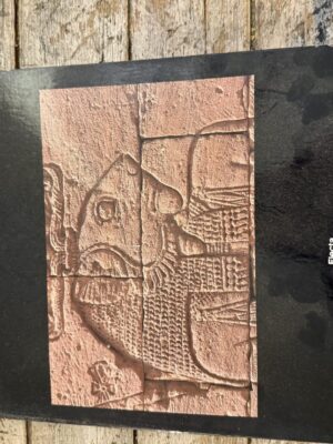 Oltre l'Egitto: Nubia. Catalogo. Ediz. illustrata