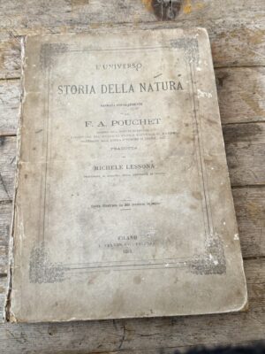 Storia della natura