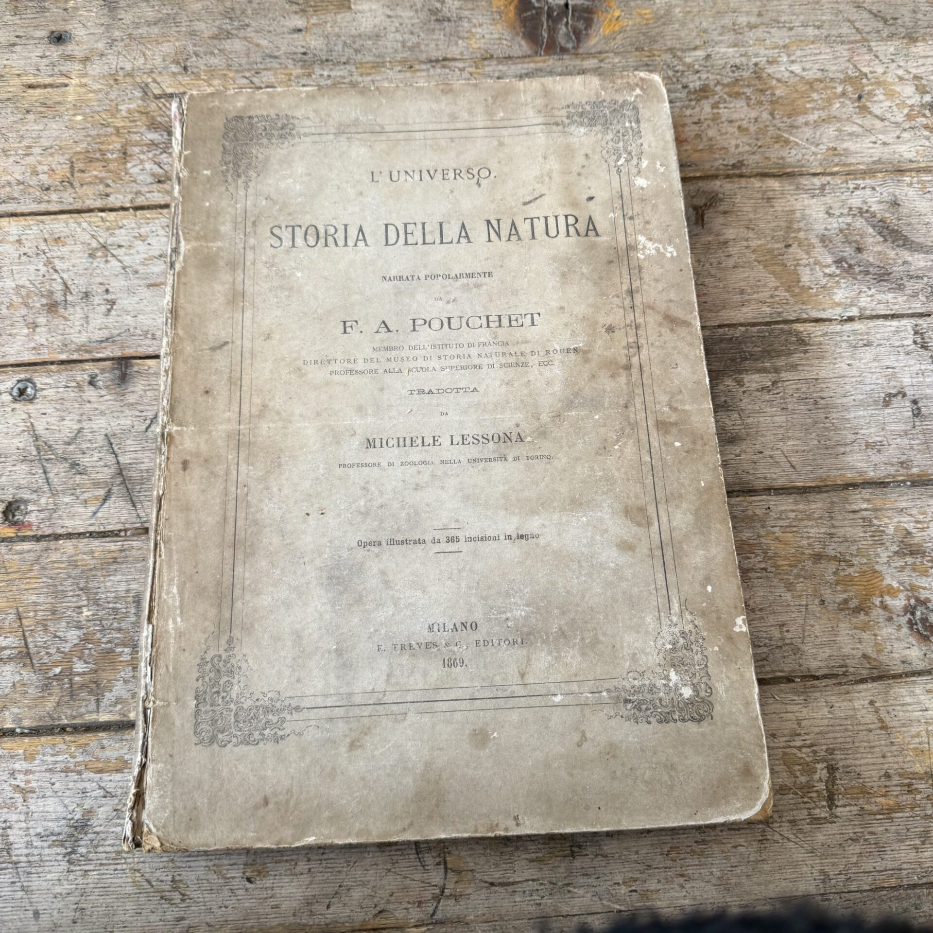 Storia della natura