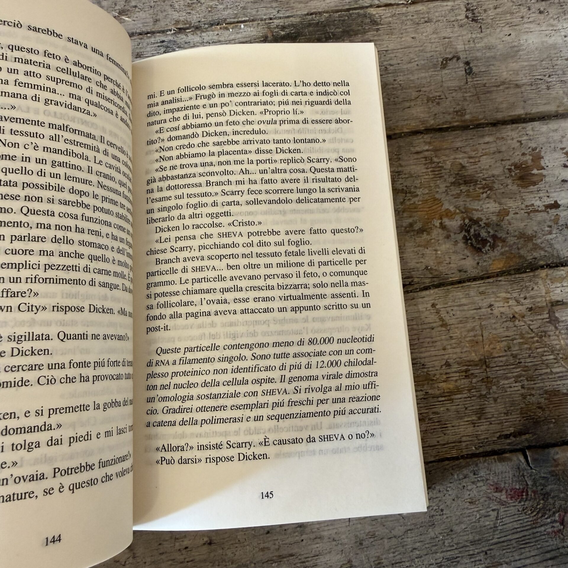 Il risveglio di Erode - immagine 3
