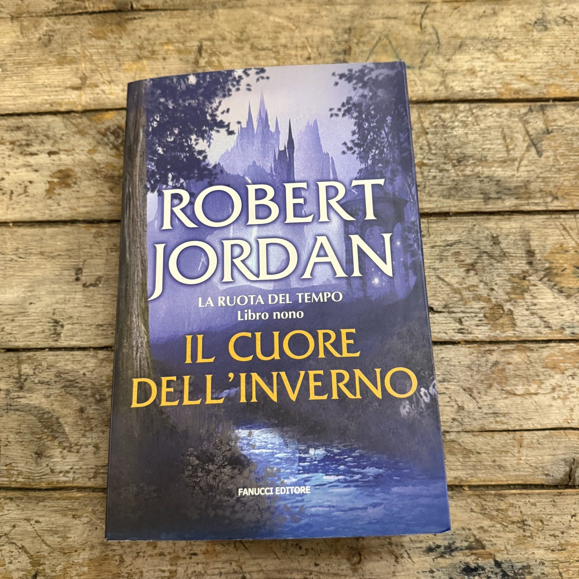 Il cuore dell'inverno. La ruota del tempo (Vol. 9)