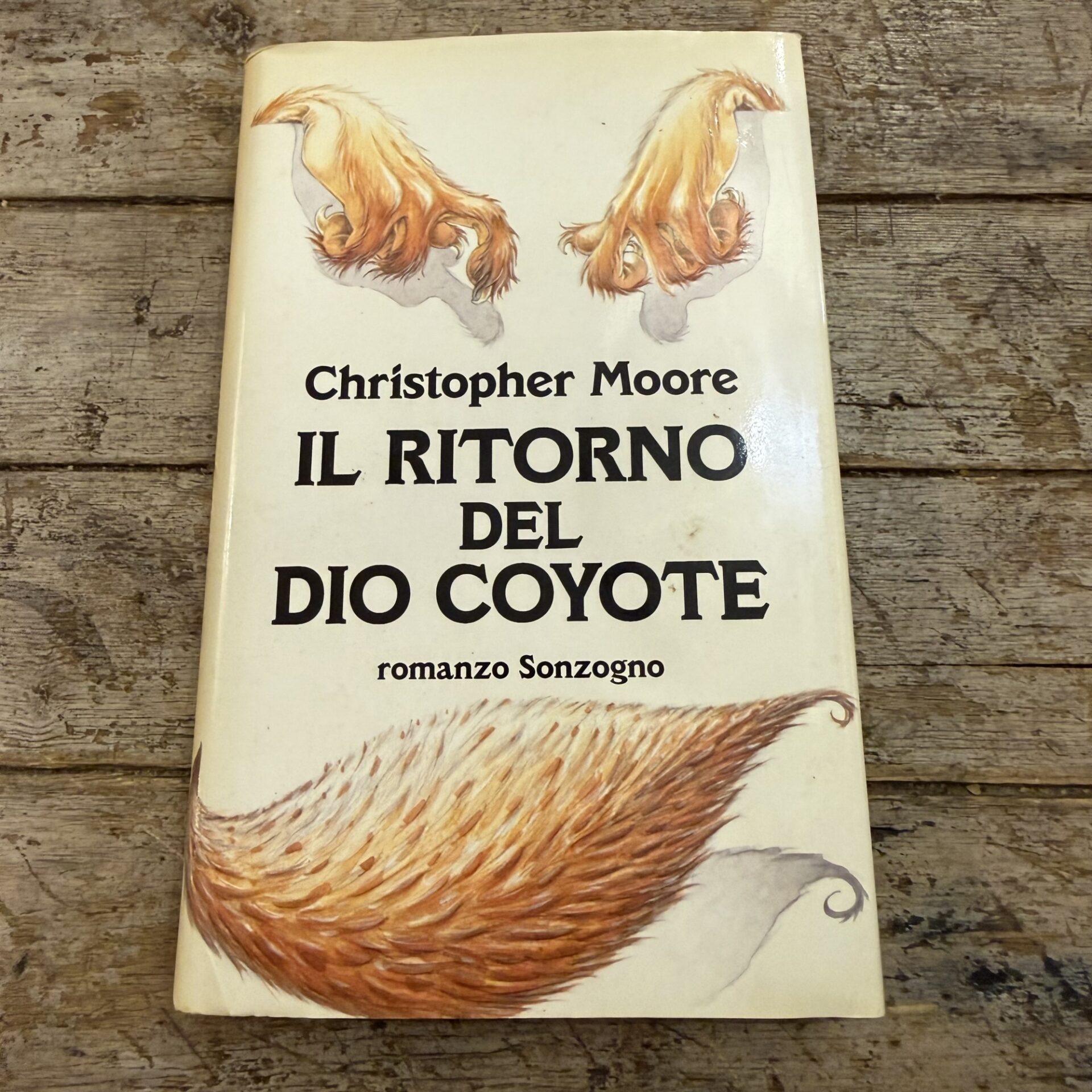 Il ritorno del dio coyote