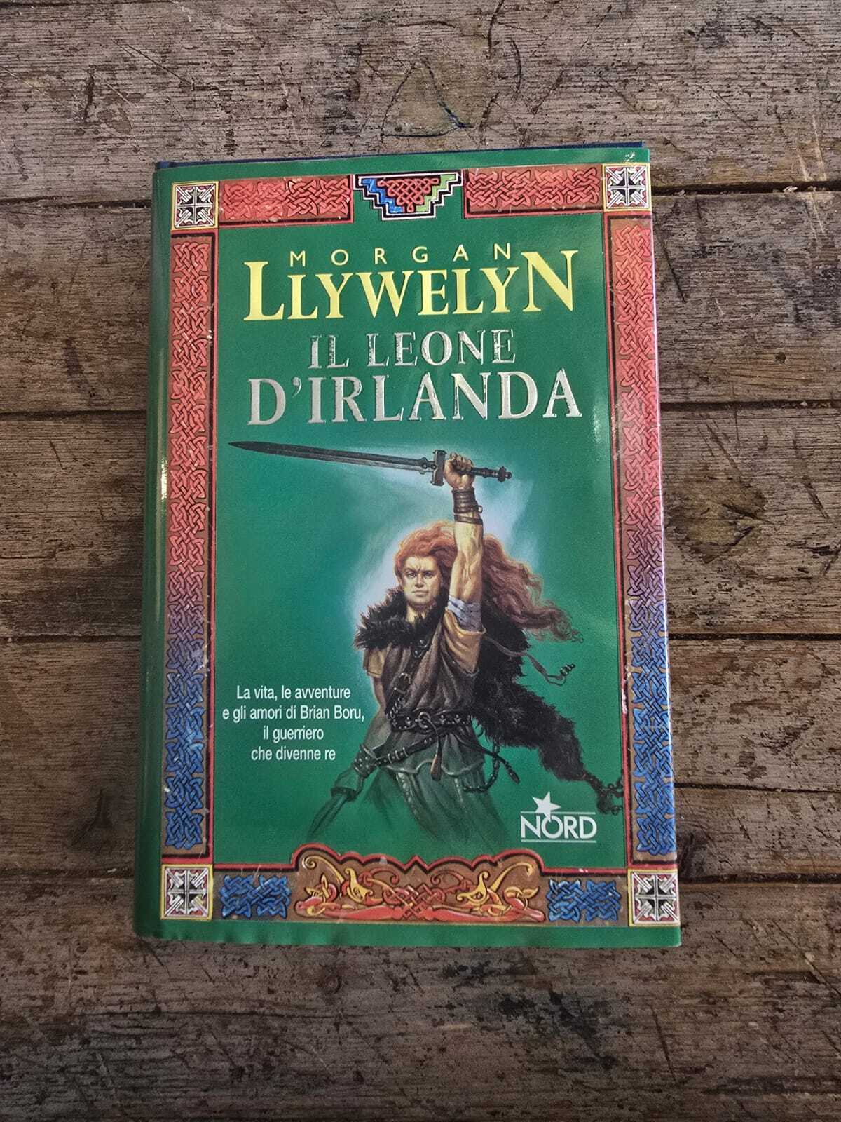 Il leone d'Irlanda, Llywelyn Morgan, 2004