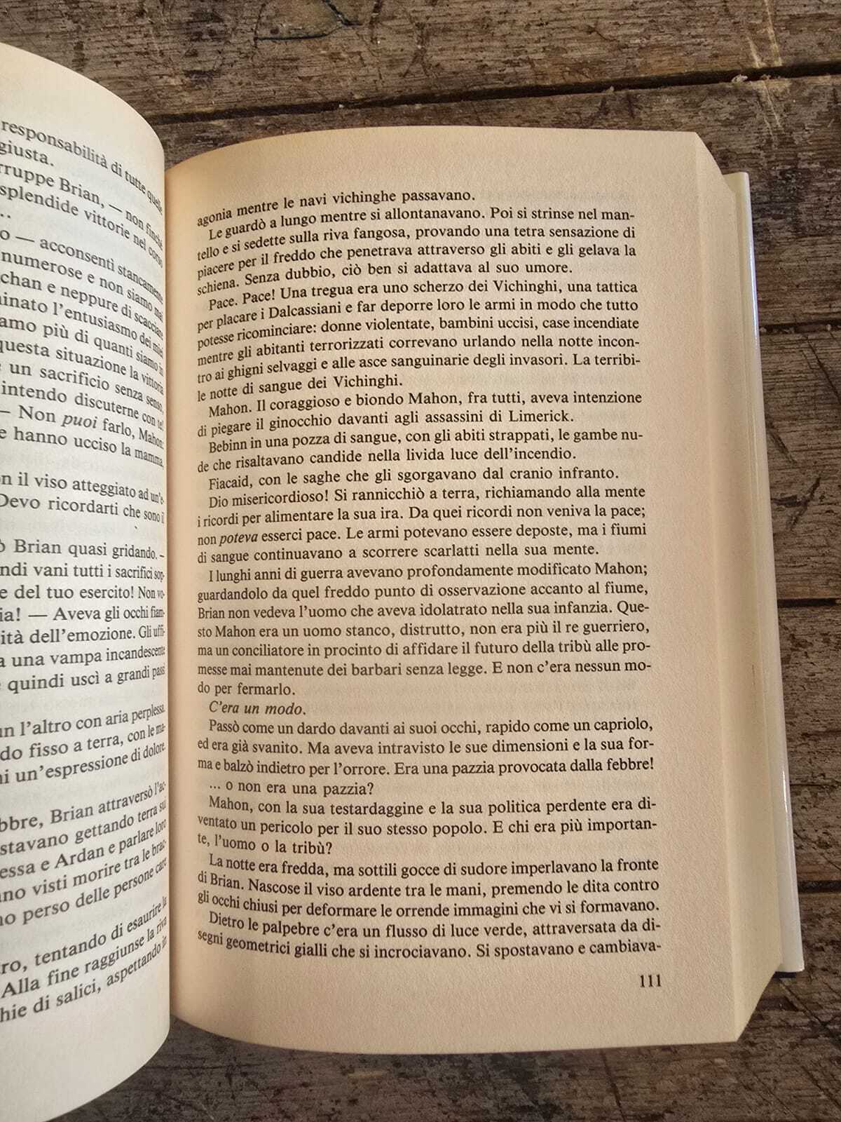 Il leone d'Irlanda, Llywelyn Morgan, 2004 - immagine 4