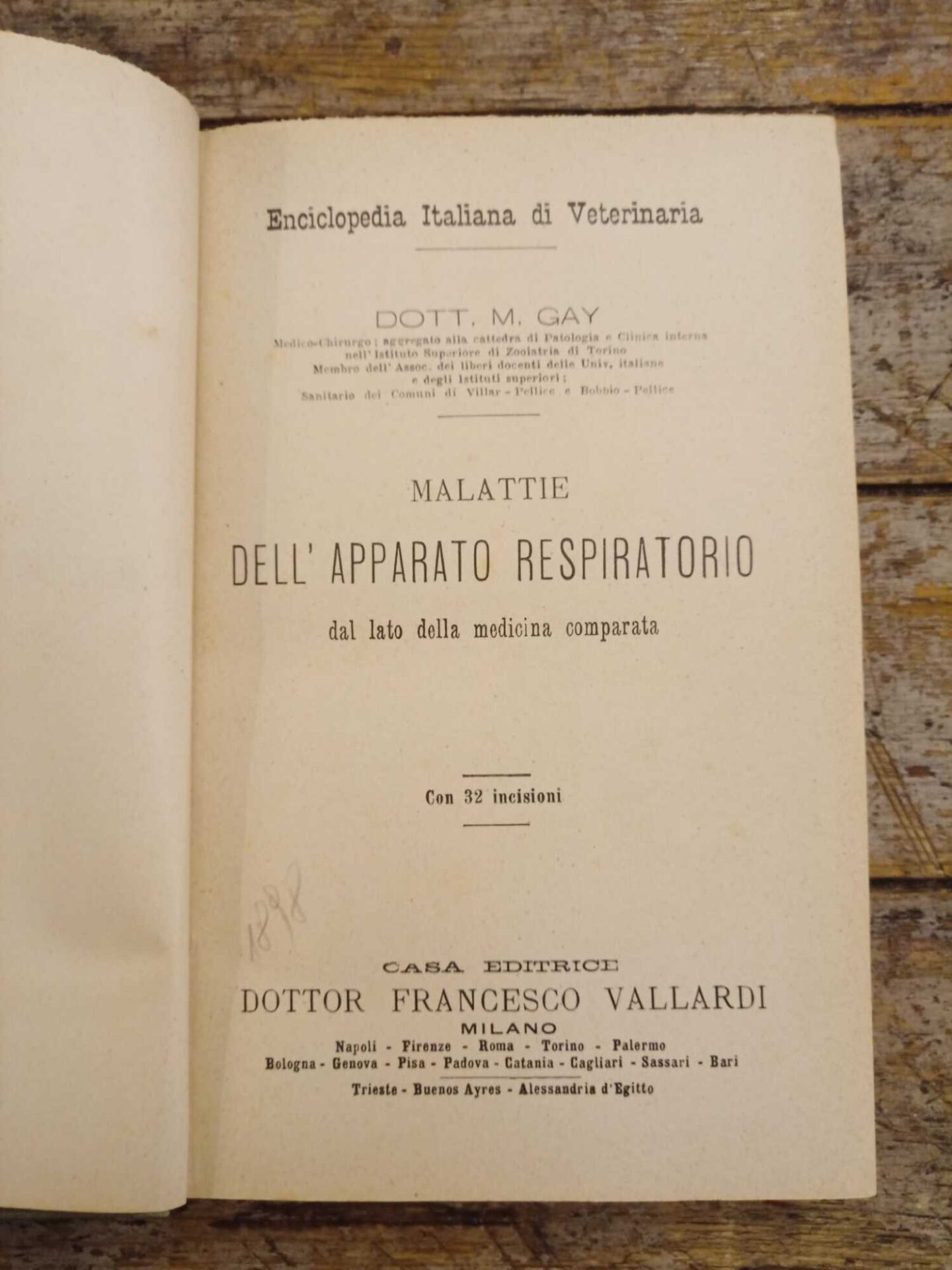 Malattie dell'apparato respiratorio - immagine 3