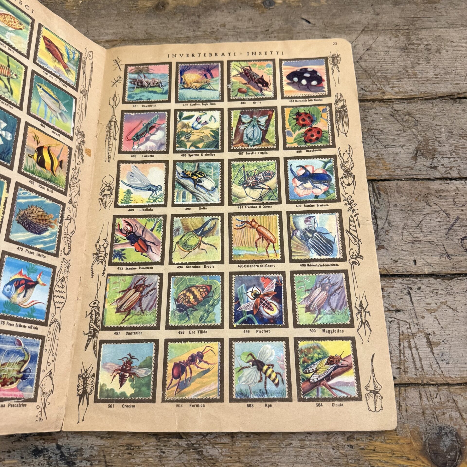 Albo per figurine di animali di tutto il mondo - immagine 3