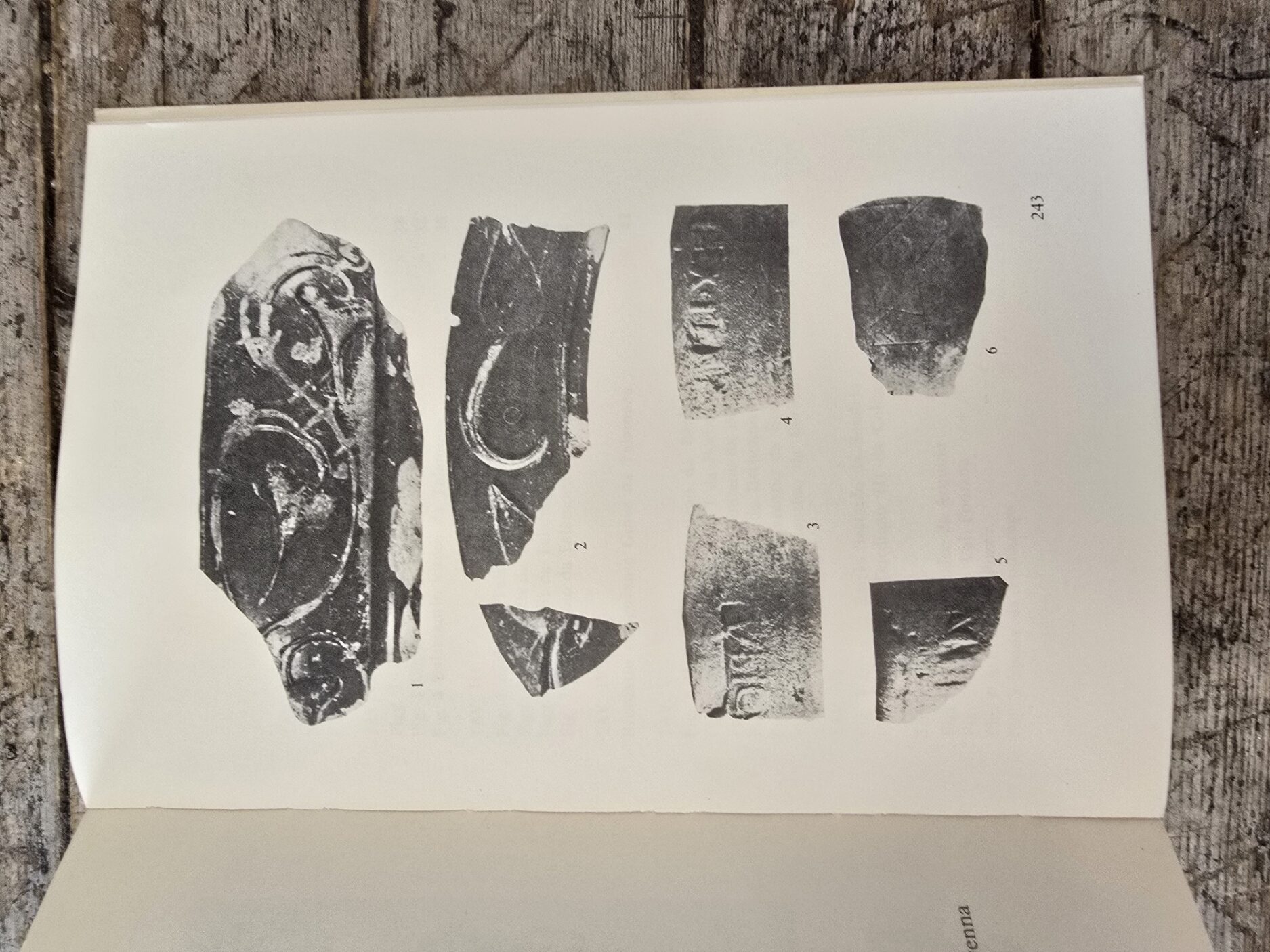 Rinvenimenti archeologici nelle valli dell'Adda e della Mera - immagine 5