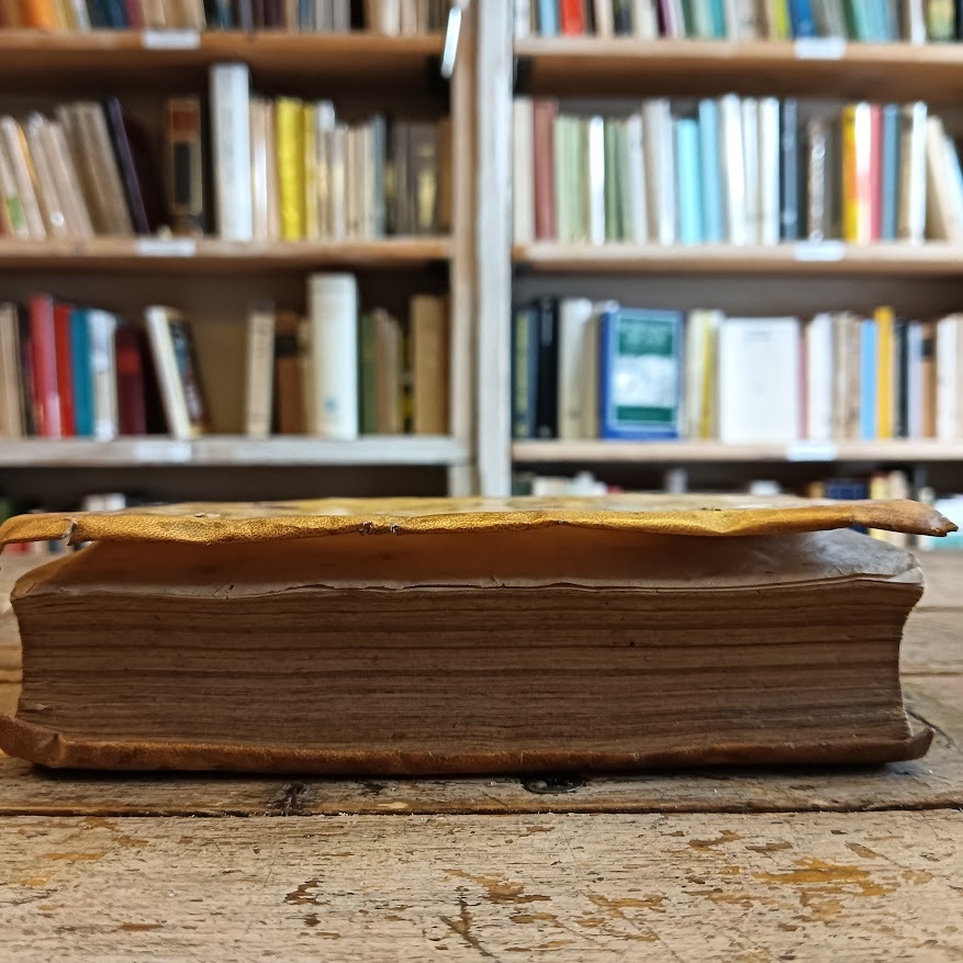 Practica criminalis D. Hippolyti de Marsiliis I.V.D. Bononiensis - immagine 7