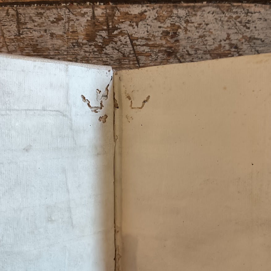 Speculum veritatis inter orientalem, et occidentalem - immagine 6