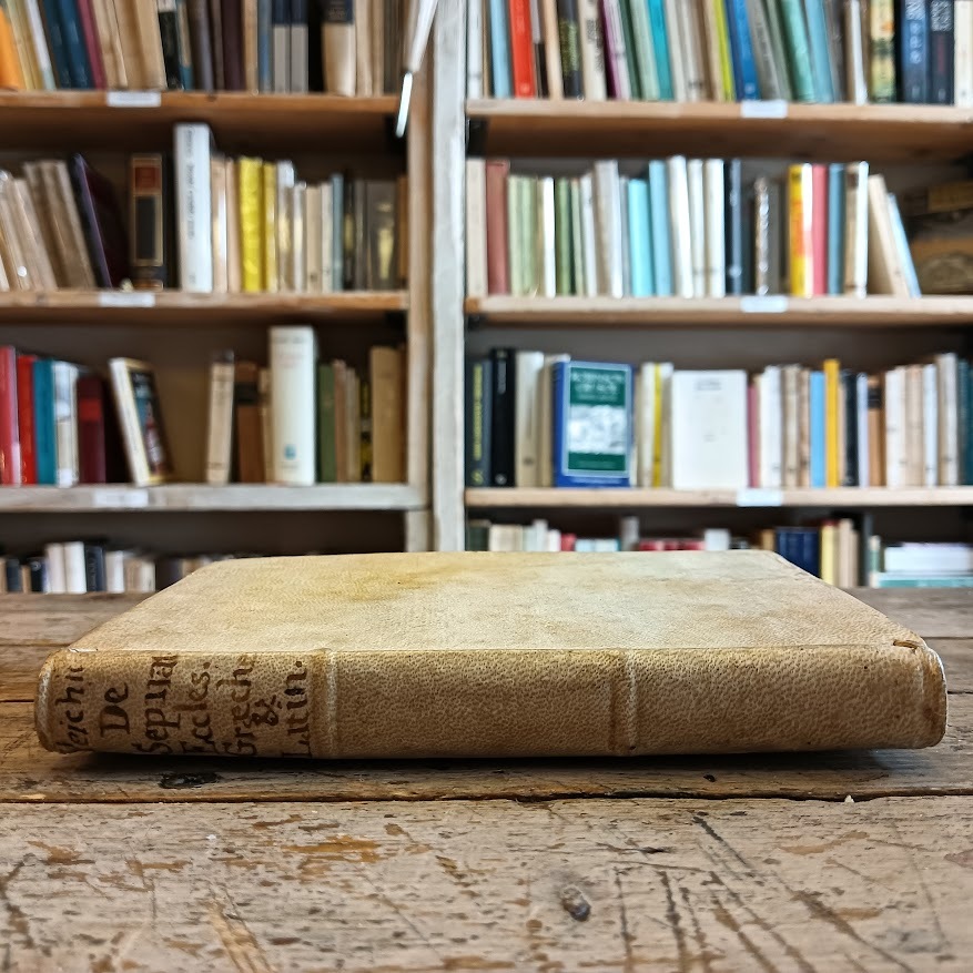 Speculum veritatis inter orientalem, et occidentalem - immagine 8
