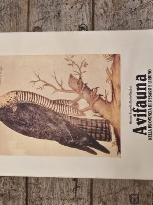 Avifauna nella provincia di Pesaro e Urbino