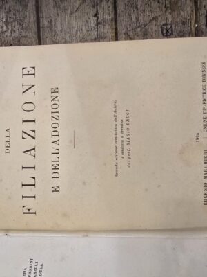 Della filiazione e dell'adozione