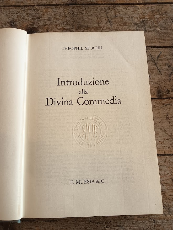 Introduzione alla Divina Commedia - immagine 2