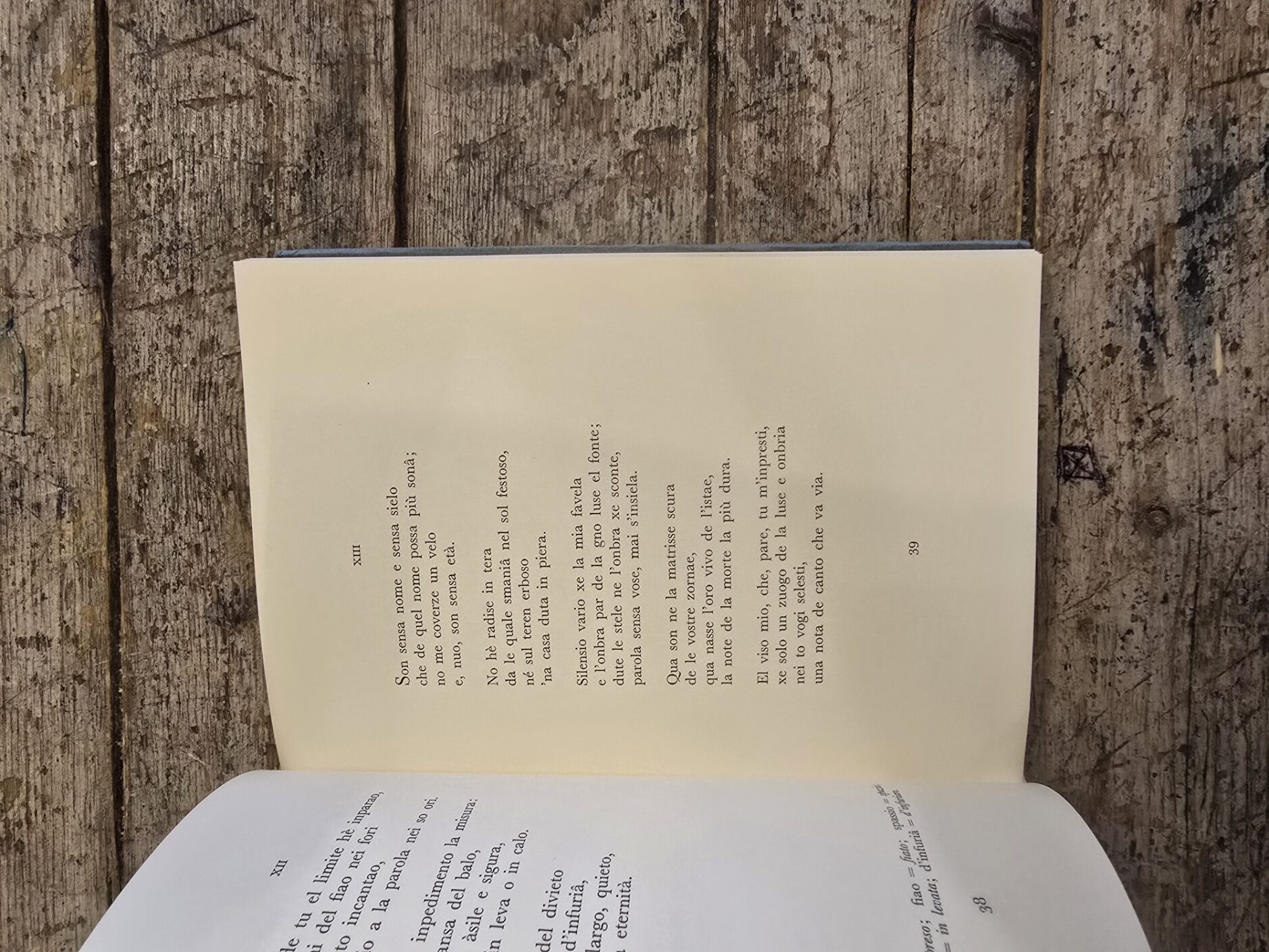 Tra sera e note - immagine 3