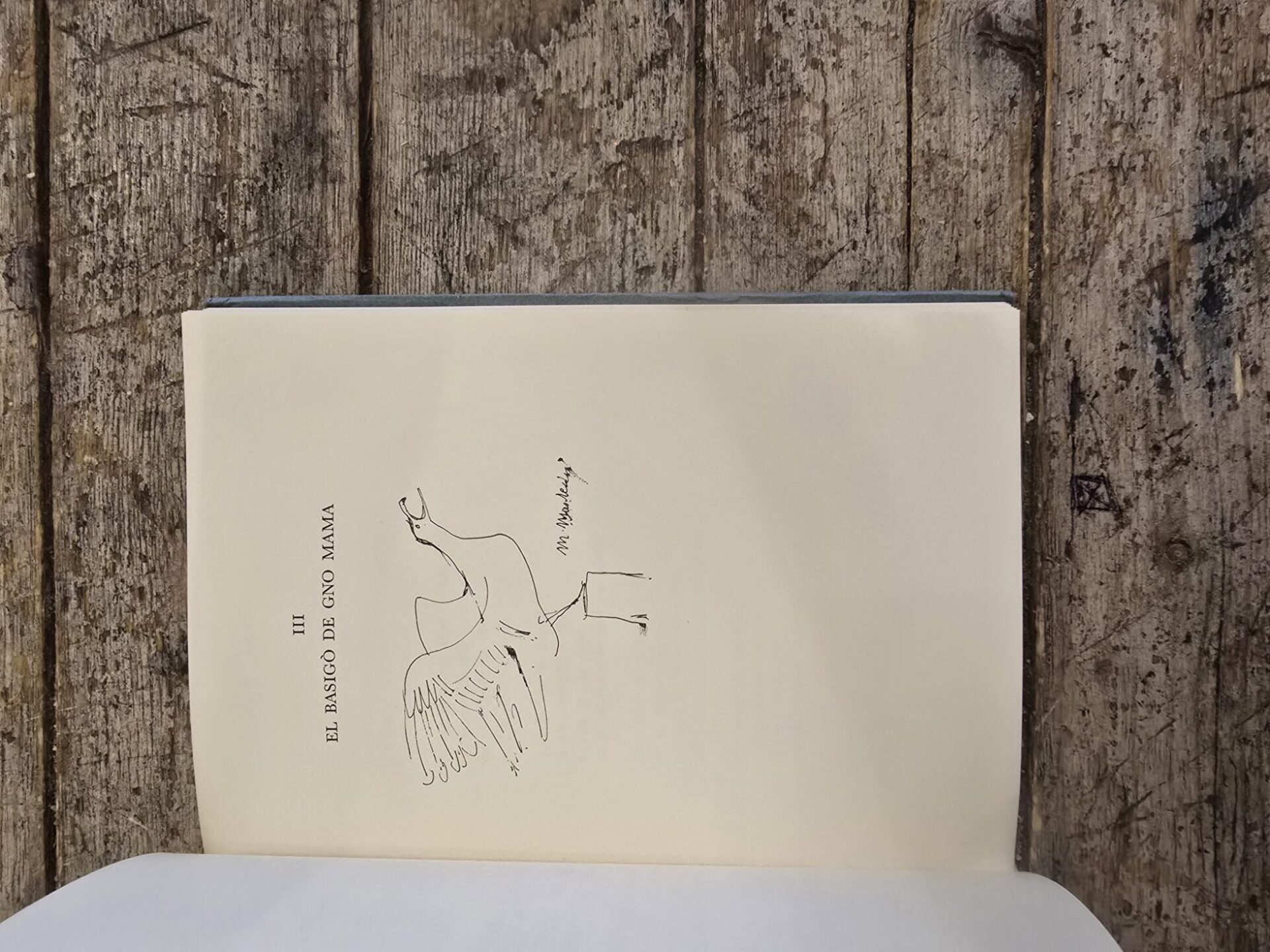 Tra sera e note - immagine 7