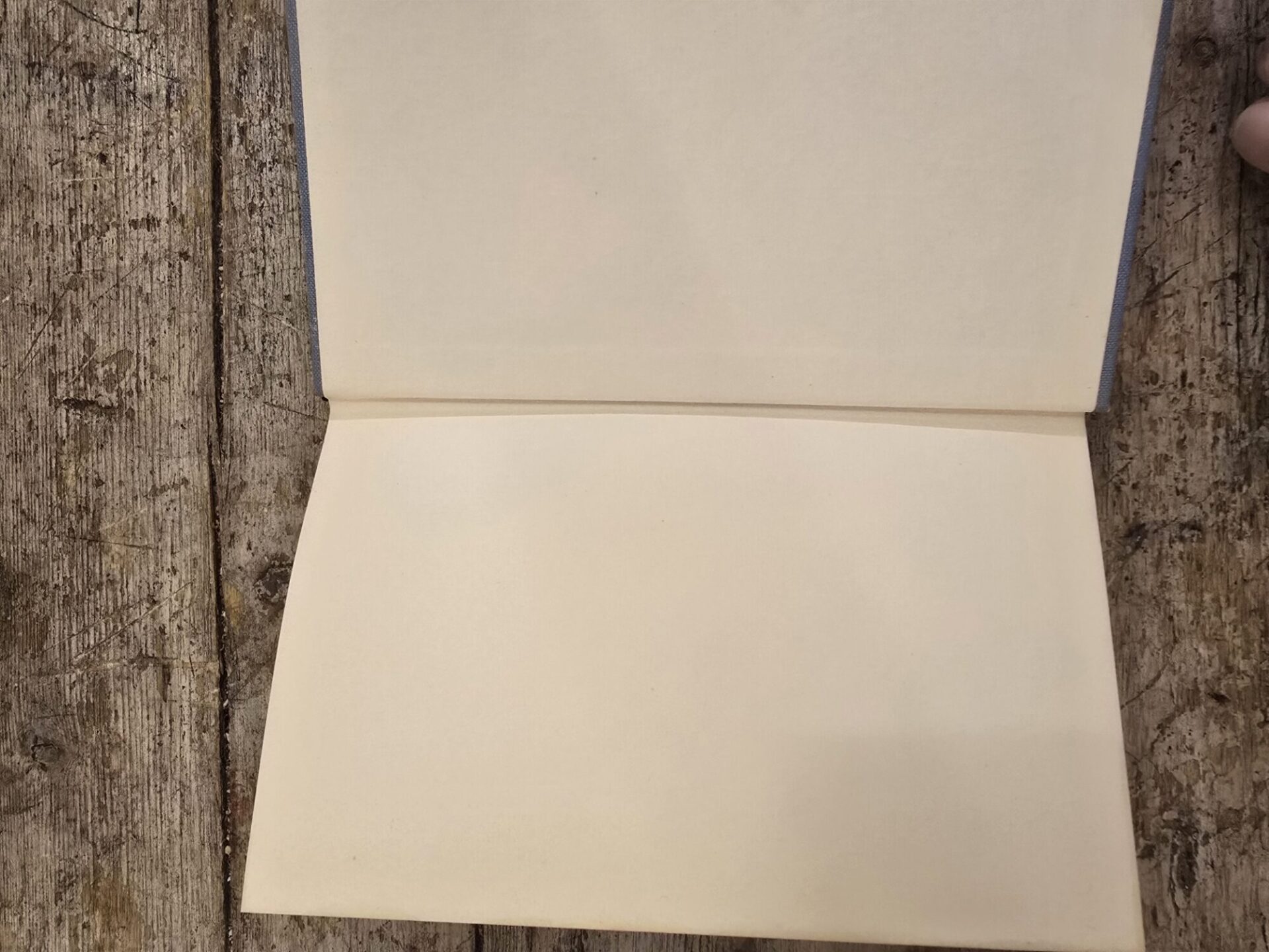 Cento e un ragionamenti - immagine 8