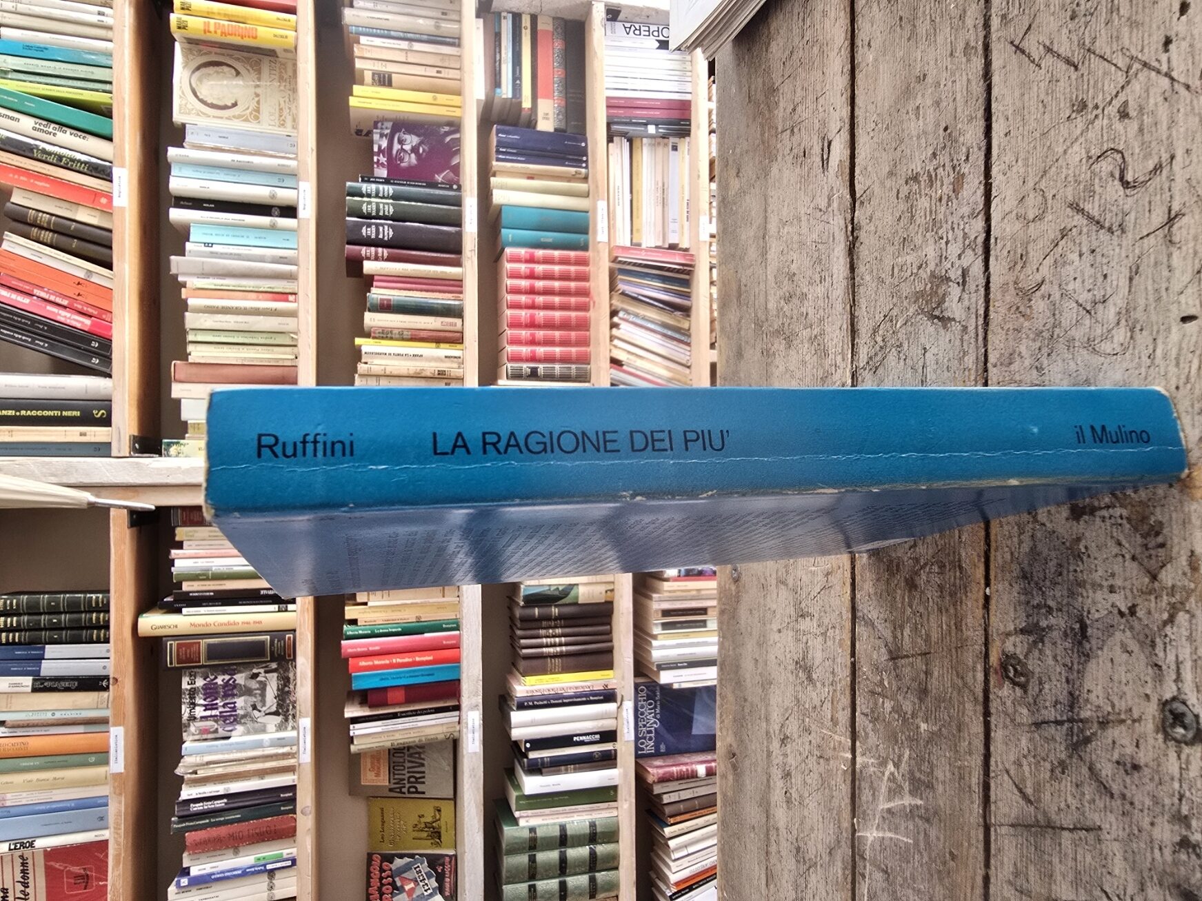 La ragione dei più - immagine 2