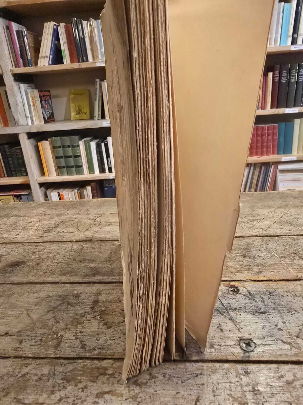 Ombre al proscenio, colloqui immaginari - immagine 7