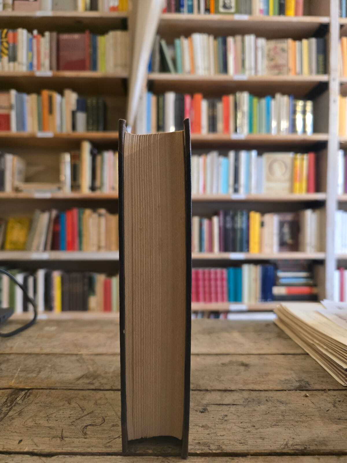 La spedizione dei mille nelle memorie bolognesi - immagine 6