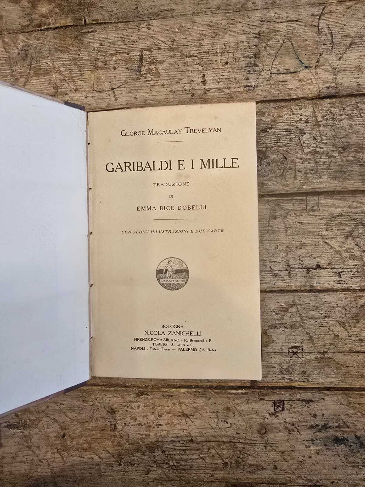 Garibaldi e i mille - immagine 2