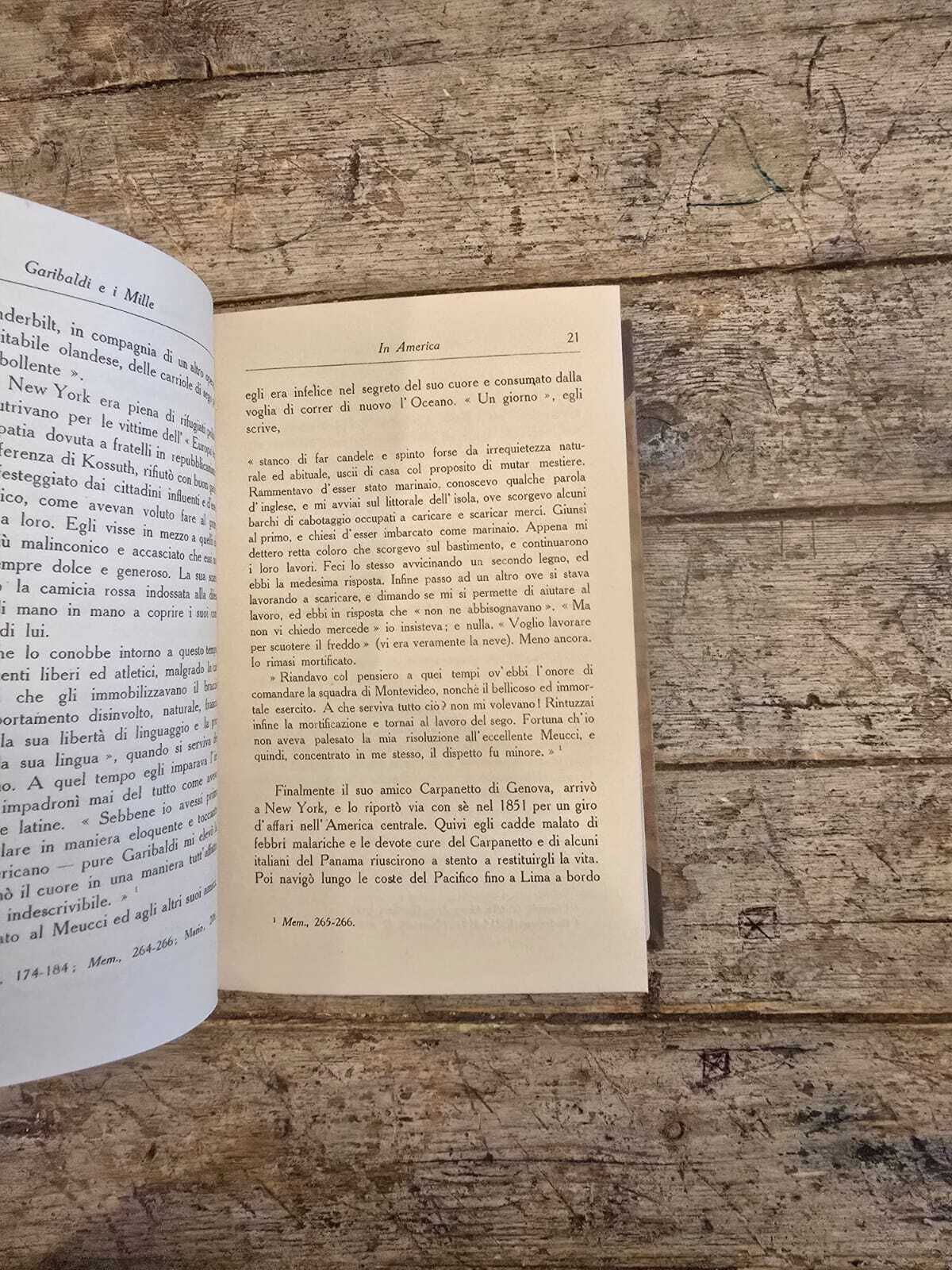 Garibaldi e i mille - immagine 5