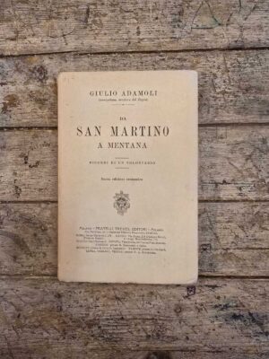 Da San Martino a Mentana. Ricordi di un volontario.