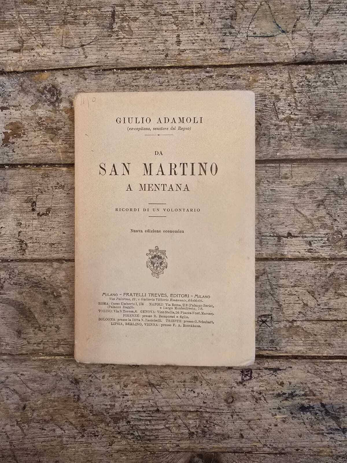 Da San Martino a Mentana. Ricordi di un volontario.