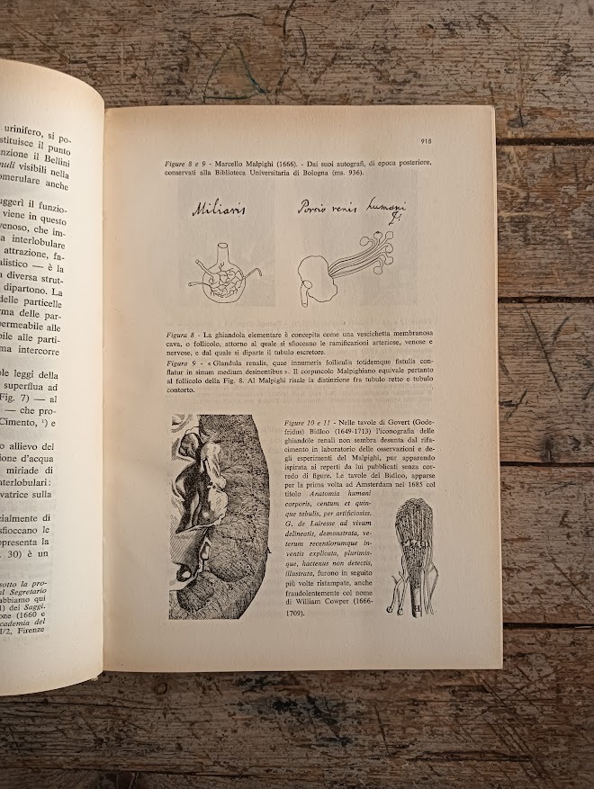 Simposio su "La diuresi ed i diuretici nella clinica e nella terapia" - immagine 4