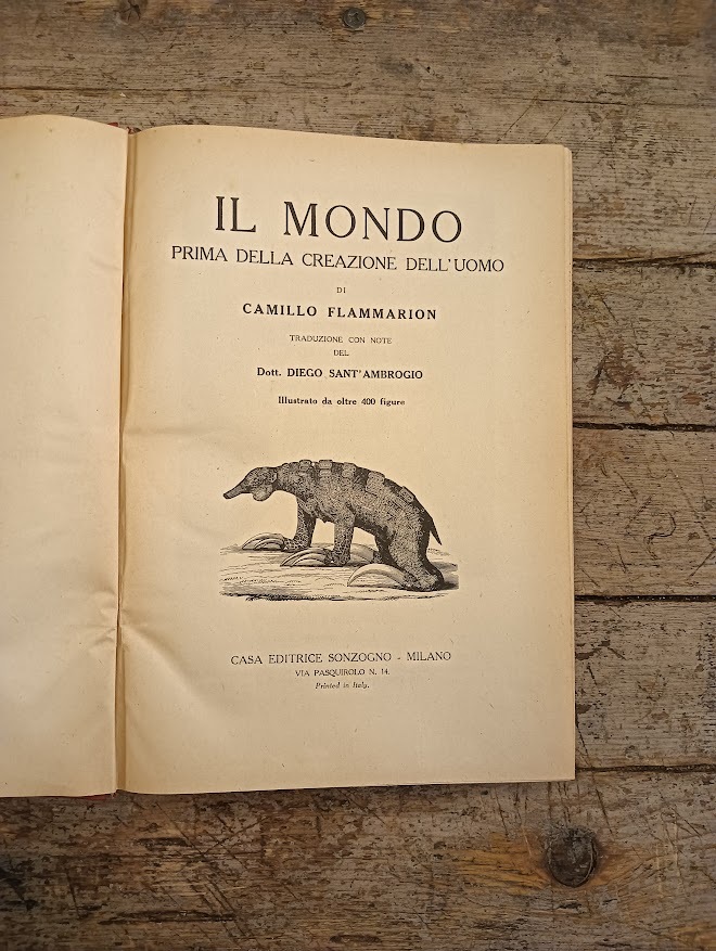 Il mondo prima della creazione del'uomo - immagine 2