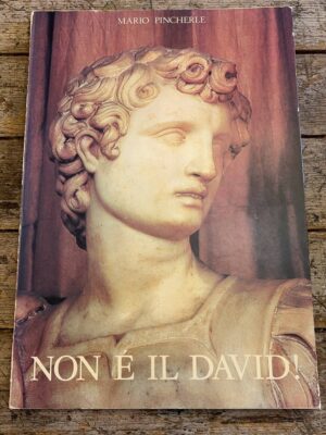 Non è il David