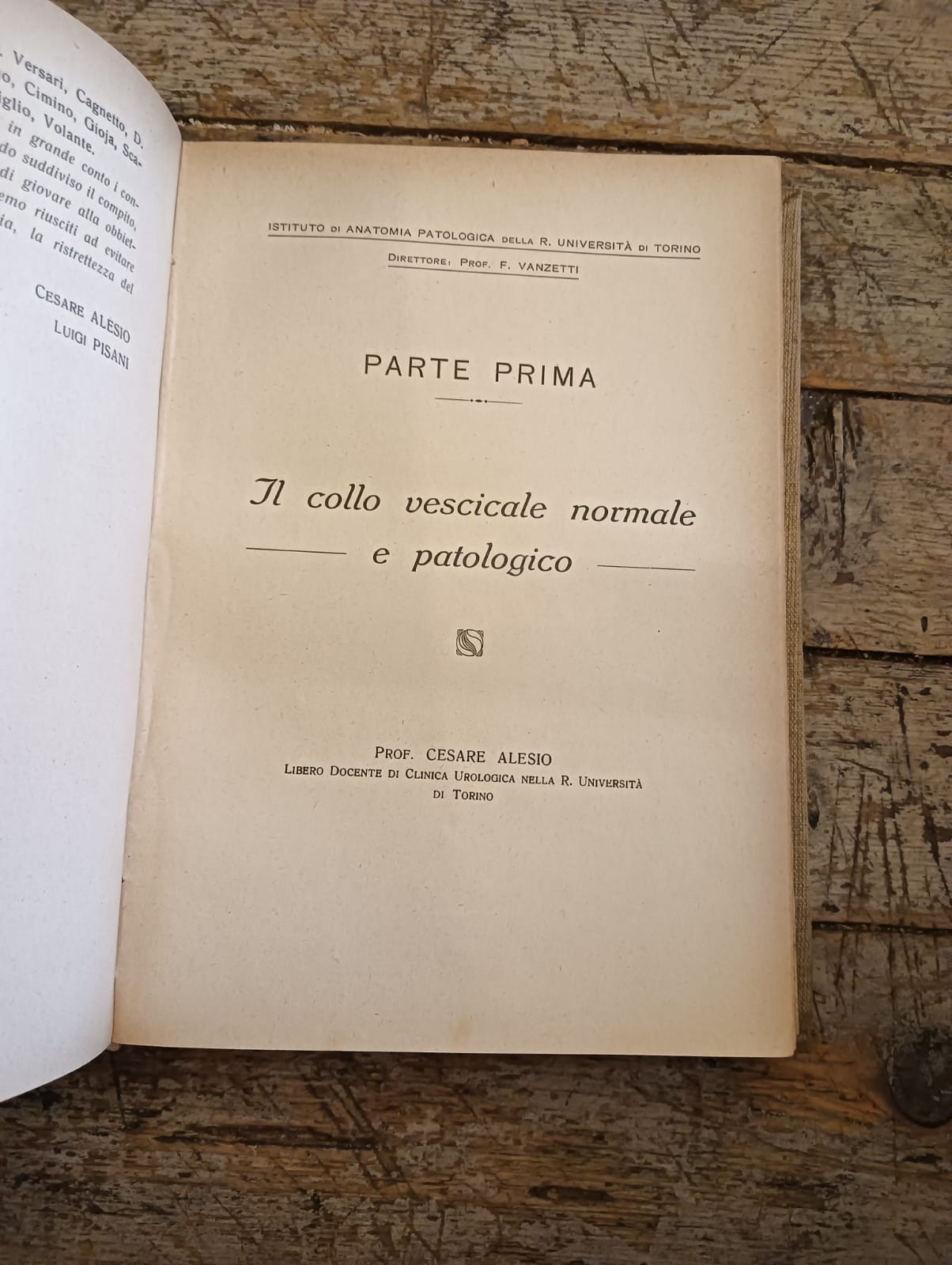 Le Idronefrosi - Ematuria - Malattie del collo vescicale - La cura endoscopica dell'ipertrofia della prostata - immagine 6